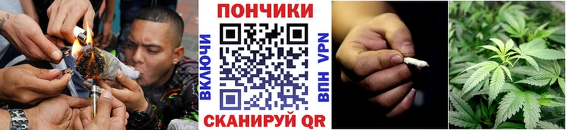 Шишки марихуана индика  цены   mega рабочий сайт  Сковородино 